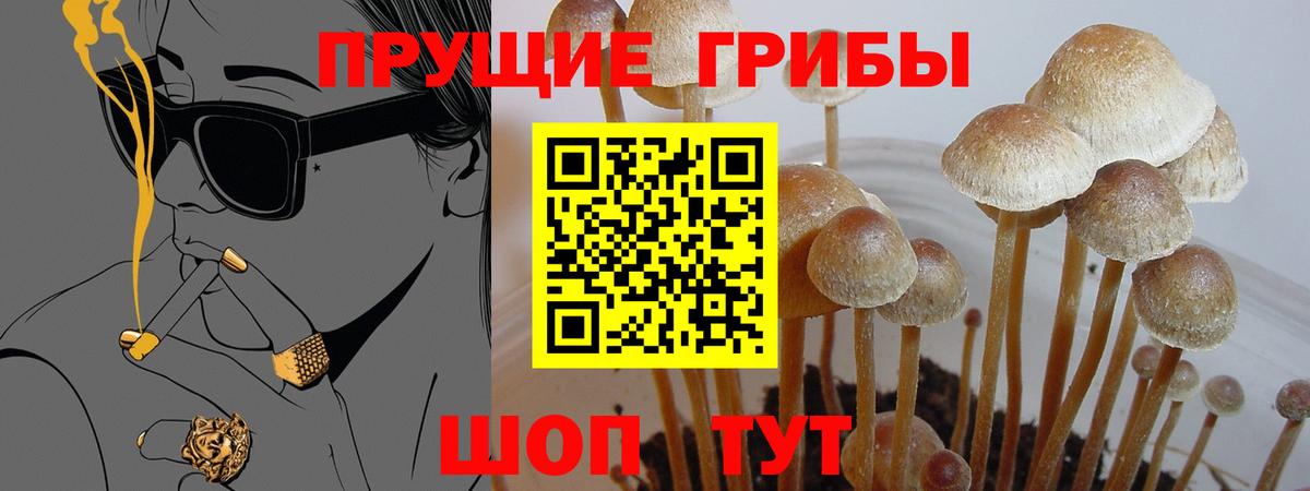 Псилоцибиновые грибы MAGIC MUSHROOMS Ейск